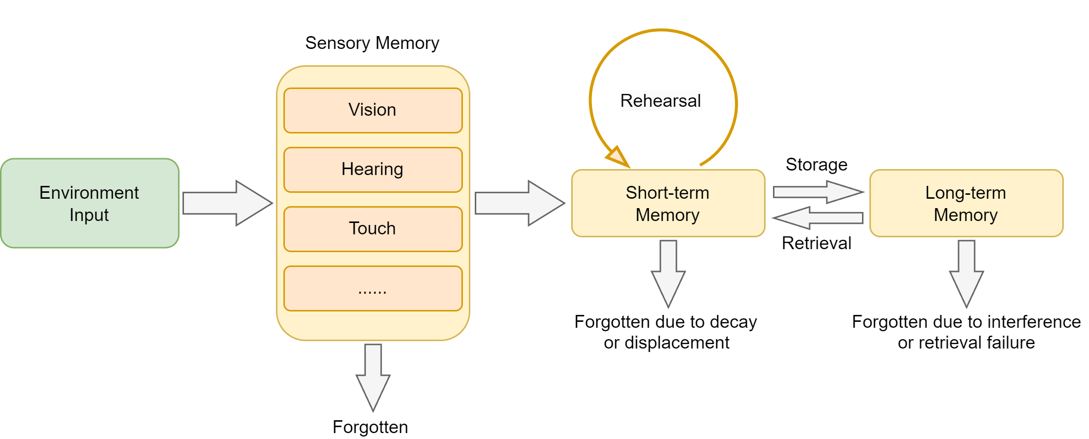 人类记忆系统的层次结构