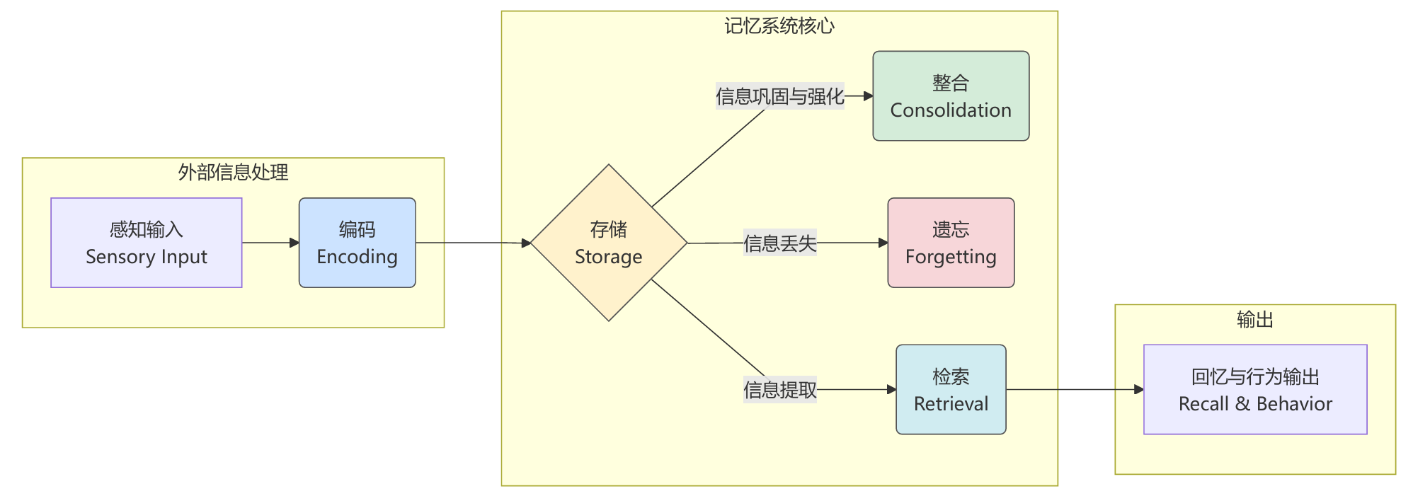 记忆形成的认知过程